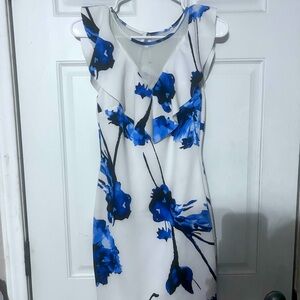 White with blue flowers dress